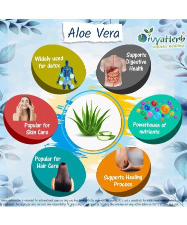 Aloe Vera Powder - Natural Skin Care Ingredient | Pure and Organic - Buy Online on GoSupps.com