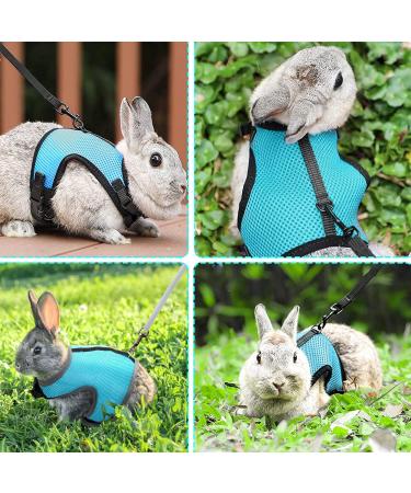 Adjustable Rabbit Dishes with Leash - Soft Small Animal Bowls for Hamsters Guinea Pigs and Cats | Neck Size: 18-27 cm Great for Pets 28-37 cm - Buy Online on GoSupps.com