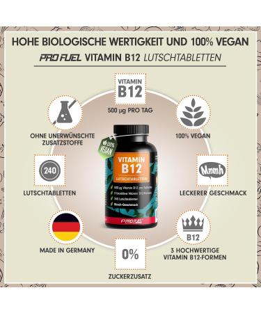 Buy Vegan Vitamin B12 Sucking Tablets - 480 Cherry Tablets 500 g Methylcobalamin Adenosylcobalamin Hydroxocobalamin Sugar-Free & Delicious Taste - Optimal Dosage for Energy & Health - Buy Online on GoSupps.com