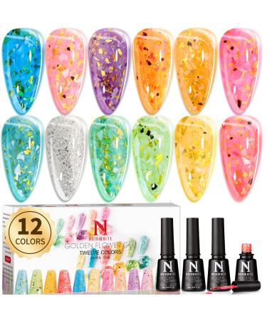 Noirwhite Glitter Gel Nail Polish-12 Pcs Chunky Glitter Sparkle Gel Nail Polish Set Gold Silver Blue Pink Transparent Jelly Nail Polish Gel Kit Soak Off UV LED Nail Lacquer Nail Art Manicure Gift for Family 12 Colors - G...