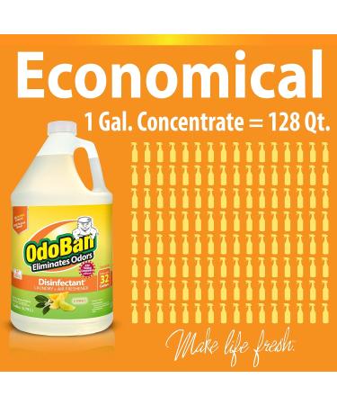OdoBan Disinfectant Concentrate & Odor Eliminator - 1 Gallon Citrus Scent | Effective International Shipping - Buy Online on GoSupps.com