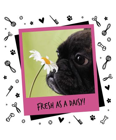 BUGALUGS Baby Fresh Dog Perfume - 6.8 oz Vegan Cologne Spray for Dogs | Deodorizer & Grooming Spray - Buy Online on GoSupps.com