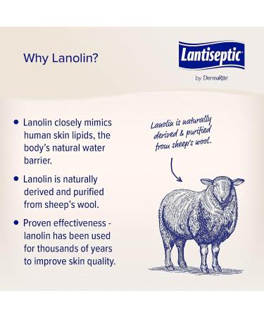 Lantiseptic Moisturizing Daily Care Skin Protectant | 30% Lanolin Barrier Cream for Incontinence | Paraben Free | 14 oz Jar - Ideal for Sensitive Skin International Shipping Available - Buy Online on GoSupps.com