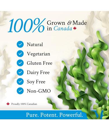 Dr. Klein's Nourishing Waves Plus Liquid. Hair Skin and Nails Vitamins. Helps Maintain Healthy Hair Skin and Nails with Biotin Vitamin B Complex with B1 B3 B6. Thyroid Support Supplement With Kelp Iodine & Silicon. 450 ml (Pack of 1) - Buy Online on GoSupps.com