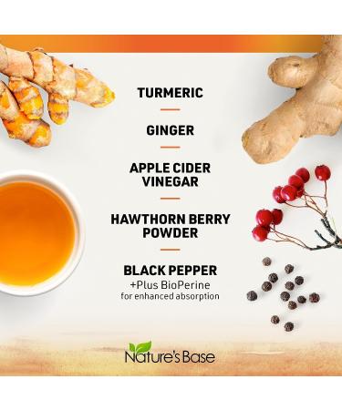 Turmeric Curcumin Supplement with Ginger, Apple Cider Vinegar & BioPerine - 120 Count, 95% Curcuminoids, Joint Support & Antioxidant - Capsules for Turmeric & Ginger - Pack of 1 - Buy Online on GoSupps.com
