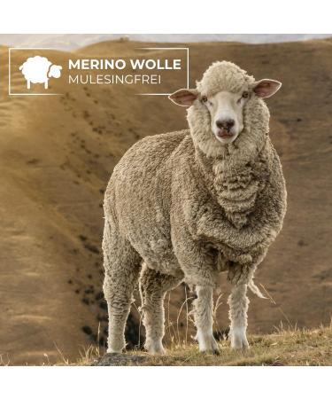 Giesswein Headband Kanzelwand - Unisex Merino Wool Outdoor Hair Band for Winter Sports - Slate Color - Buy Online on GoSupps.com