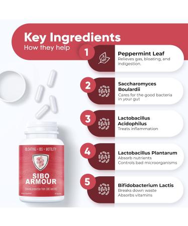 Clinical Grade SIBO & IBS Relief Supplement | Bloating Diarrhea Leaky Gut Treatment | Delayed Release Peppermint for Effective Digestive Health - Buy Online on GoSupps.com