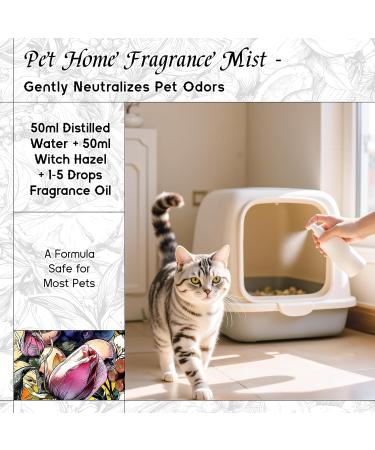 HIQILI 30ML Sweet Orange Essential Oil & 150ML for Her Fragrance Oil for DIY Diffuser - Buy Online on GoSupps.com