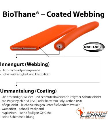 BioThane Coupling for Two Dogs - 0.3m Azure Blue Leash Selectable Width - Durable Dog Coupler for Safe Walks - Buy Online on GoSupps.com