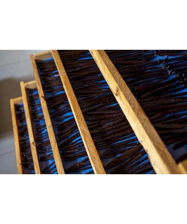 Kiddu Gourmet Grade A Vanilla Beans for Baking - 12 Whole Pods in Resealable Pouch 18cm-20cm - Buy Online on GoSupps.com