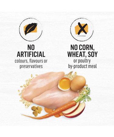Beyond Simply Natural Dry Cat Food Farm-Raised Chicken & Whole Oat Meal - 2.72 kg Bag 2.72 kg (Pack of 1) - Buy Online on GoSupps.com