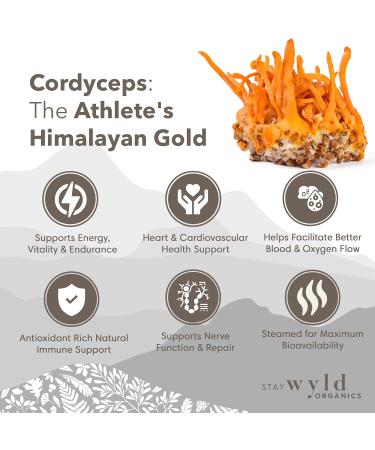 Stay Wyld - Organic Cordyceps Mushroom Capsules - Real Mushrooms - Energy Immunity & Vitality Mushroom Supplement - Athletic Performance & Hormone Regulation - 100% Canadian Grown - 60 Capsules Cordyceps - Capsules - Buy Online on GoSupps.com