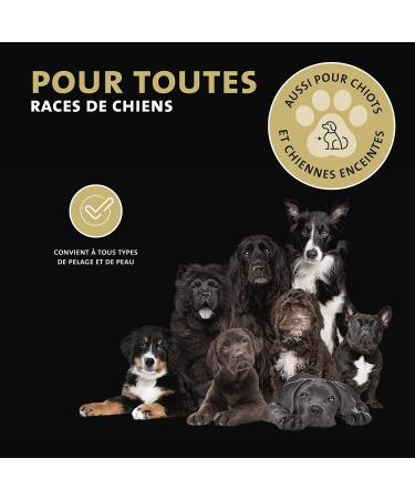 Peticare Dog Shampoo for Dandruff - Effective Care for Dry Skin Relieves Itching Treats Skin Unpleasant Odor - petDog Health 2114 - Buy Online on GoSupps.com