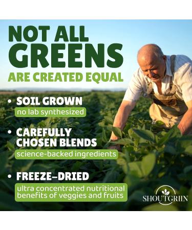 SHOUTGRIIN Organic Green Juice Superfood Powder - Fruit & Veggie Smoothie Drink - Natural Fiber Supplement for Energy, Immunity & Digestion - 9.5 oz - Buy Online on GoSupps.com