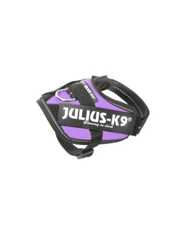 Julius-K9 Baby Boys IDC Powerharness Dog Harness Purple XL / 2
