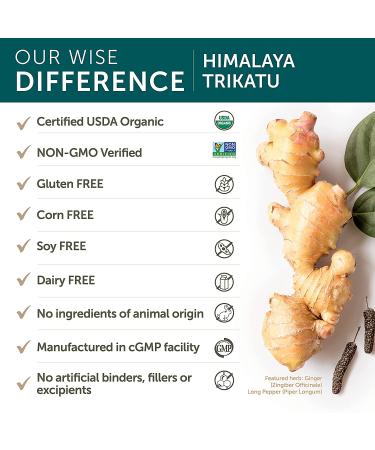 Himalaya Trikatu 60 Caplets - Herbal Digestive Support & Wellness - Buy Online on GoSupps.com