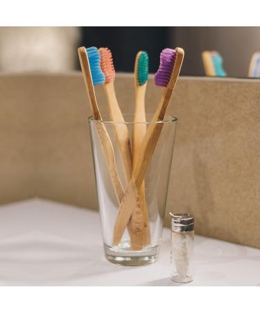 Bamboo Toothbrush 4-Pack & Compostable Dental Floss Set | Eco-Friendly Oral Care Kit with Refillable Glass Holder | Biodegradable & BPA-Free | Natural Gifts for Men & Women - Buy Online on GoSupps.com