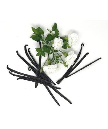 Premium Mexican Vanilla Beans - Superior Grade 12.0g | Gourmet Quality - Buy Online on GoSupps.com