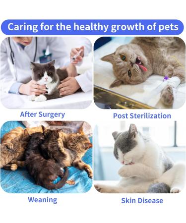 Buy Cobee Professional Cat Recovery Suit - Soft E-Collar Alternative for Abdominal Wounds & Skin Diseases | Size L - International Shipping Available - Buy Online on GoSupps.com