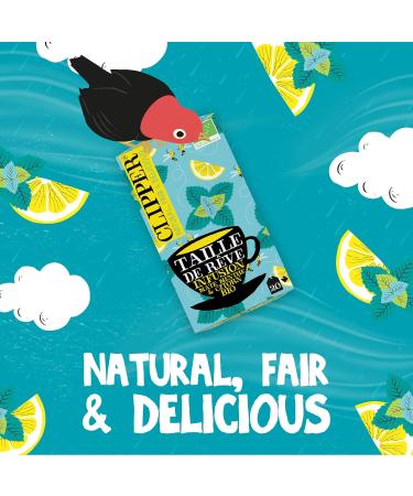 CLIPPER - Organic Infusion - Dream Size - Mate Lemon Mint - 20 Infusion Bags - 1 pack - Buy Online on GoSupps.com