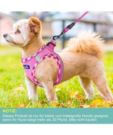 Haapaw Adjustable Dog Harness & Leash Set - No Pull Reflective Padded Vest for Extra Small to Medium Dogs - Pink Size L (Breast 45.7-50.8 cm) - Buy Online on GoSupps.com