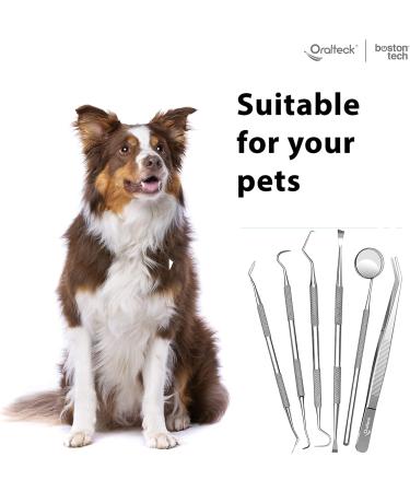 Premium Dental Care Instrument Set - 6 Stainless Steel Tools for Plaque & Tartar Removal - Ideal for Adults Children & Pets - Includes Case - Buy Online on GoSupps.com