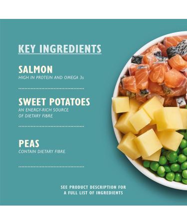 Lily's Kitchen Complete Dry Food for Adult Dogs Salmon Feast 7kg - Buy Online on GoSupps.com