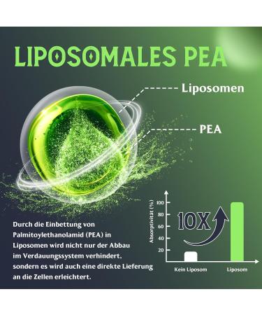 Palmitoylethanolamide (PEA) Liposome 1100mg with Luteolin Micronized PEA - High Purity Super Absorption and Optimum Effectiveness 60 Softgels - Buy Online on GoSupps.com