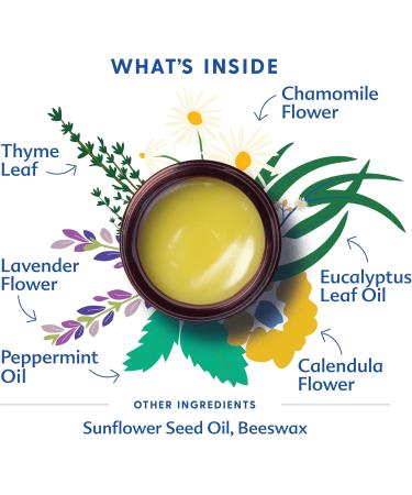 Motherlove Children's Chest Rub (2 oz) Herbal Balm for Soothing Congestion for Ages 2 and up Organic & Cruelty Free - Buy Online on GoSupps.com