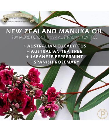 BALM OF GILEAD Manuka Eczema Honey Cream - Tea Tree Balm -Moisturizer for Sensitive Skin Eczema Psoriasis Dermatitis - Softens Skin Irritations Balm for Eczema Rashes Dry Skin - Buy Online on GoSupps.com