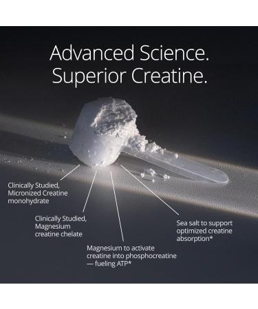 Qualia Creatine | Advanced Creatine Complex | 2 Creatine Sources + Magnesium | Optimized Creatine Absorption | Muscle Performance Brain Function & Healthy Aging - Buy Online on GoSupps.com