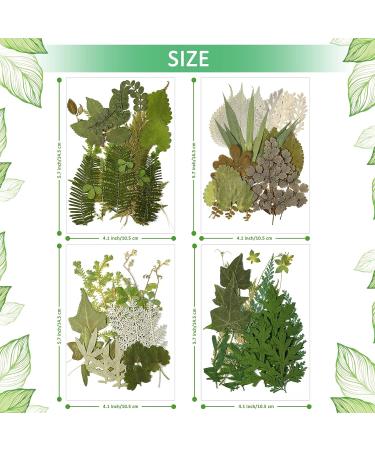 TimTin 84 Pieces Dried Leaves and Flowers Resin Craft Kit - Assorted Greenery for DIY Handmade Bookmarks - Vivid Style - Buy Online on GoSupps.com