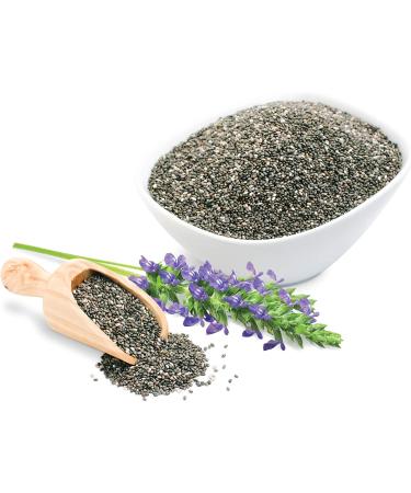 Buy Sunfood Raw Organic Chia Seeds 1 lb - Superfood for Health & Wellness - Buy Online on GoSupps.com