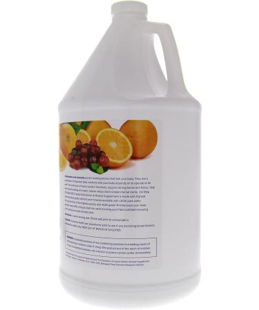 HIGH PERFORMANCE FITNESS INC. 1st Step For Energy Vitamins And Minerals Citrs 1gal - Buy Online on GoSupps.com