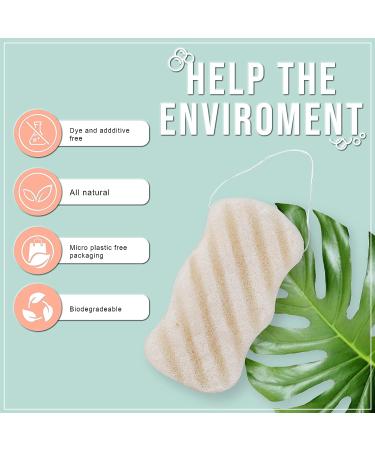 Pure SOL Konjac Exfoliating Bath Sponge - Turmeric Exfoliating Sponge for Brightening and Deep Cleansing | Clean Pores, Remove Impurities - 100% Natural for All Skin Types - Buy Online on GoSupps.com