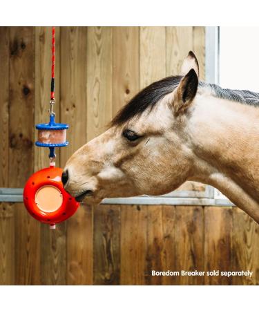 Likit Little Multipack Refill 250g | Apple Cherry Banana Carrot | Pack of 5 | 250 g - Buy Online on GoSupps.com