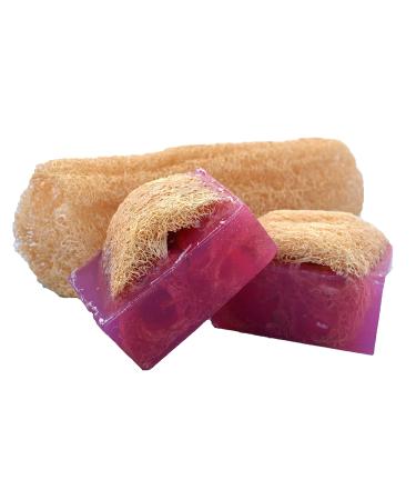 Luffa Soap Bar (4.5oz) - Exfoliating Handmade Glycerin Soap - Amazing Grace by Falls River Soap - Ideal for All Skin Types - Buy Online on GoSupps.com