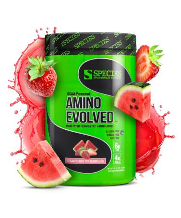 Species Nutrition Amino Evolved EAA & BCAA Powder Fermented Amino Acids Branched Chain Amino Acid Muscle Recovery & Endurance Pre & Post Workout Supplement (Strawberry Watermelon 30 Servings) Strawberry Watermelon 30 Servings (Pack of 1)