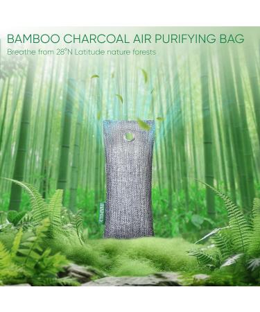 Activated Charcoal Odor Absorber - 6 Pack Nature Deodorizer for Shoes Bamboo Charcoal Air Purifying Bags Fresh Sneakers & Moisture Remover - Buy Online on GoSupps.com