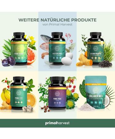 Primal Harvest Multivitamin Tablets - High-Dose Vitamins & Minerals for Optimal Health | 30 Portions - Buy Online on GoSupps.com