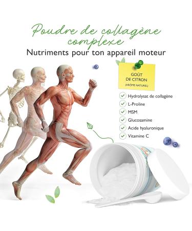 Collagen Complex - 500 g - Joint Powder with Collagen Hydrolysate Peptide L-Proline MSM Hyaluronic Acid Glucosamine & Vitamin C - High Dosed - With Lemon Flavor - Buy Online on GoSupps.com