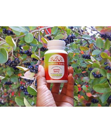 Eclectic Institute Raw Fresh Freeze-Dried Aronia - 450mg Non-GMO Veg Caps (90 Count) - Buy Online on GoSupps.com
