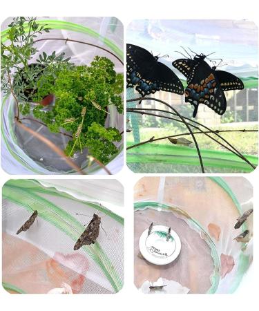 Butterfly Net Habitat Clear Butterfly Enclosures Mini Mesh Cage - butterfly cage for caterpillars Butterfly Enclosures for Indoors 6.3" x 7.9" Tall - Buy Online on GoSupps.com
