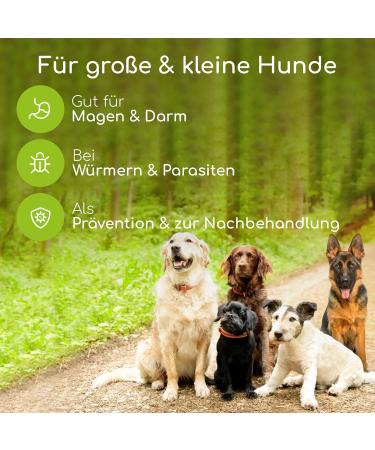 Wolfsbacher WormEX - Natural Worming Medication for Dogs | Effective Drops for Stomach & Intestinal Treatment - Buy Online on GoSupps.com