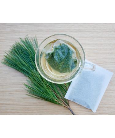 Organic Canadian Eastern White Pine Needle Tea (6g x 50 TEA BAGS) Fresh Pine Needle Tea and a Product of Canada - Buy Online on GoSupps.com