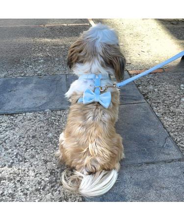Premium H-Shaped Dog Harness with Multi-Position Leash | Velvet Small to Large Dogs | Blue Medium - International Shipping Available - Buy Online on GoSupps.com