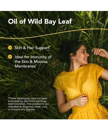 North American Herb & Spice Wild Oil of Bay Leaf 1 fl oz - Organic Non-GMO Skin & Hair Support - 286 Servings - Buy Internationally - Buy Online on GoSupps.com