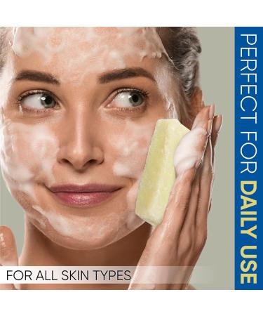 T.Taio Esponjabon Soap Sponge 2-Pack | Mother of Pearl & Oatmeal | Shower Scrubber & Bath Wash | Massage & Lather | Bathroom Accessories - Buy Online on GoSupps.com