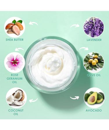 WildMint Body Whip Natural Body Butter | Ultra-Hydrating Body Cream for Skin Soft & Smooth | Shea Butter Hydrates & Boost Collagen for Dry Damaged Skin| UK Made Vegan & Cruelty-Free Skincare | 120ml - Buy Online on GoSupps.com
