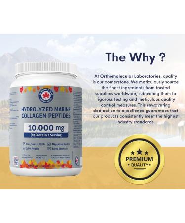 Orthomolecular Laboratories - Hydrolyzed Marine Collagen Peptides Powder 10000mg 600g - Vitamins for Bone Strength Digestive Health Joint Health Hair Skin & Nail Vitamins - Collagen Protein Powder Unflavored 600g (Pack of 1) - Buy Online on GoSupps.com